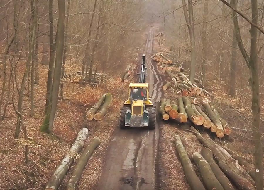 Kenwood DMR Range in the Forestry sector